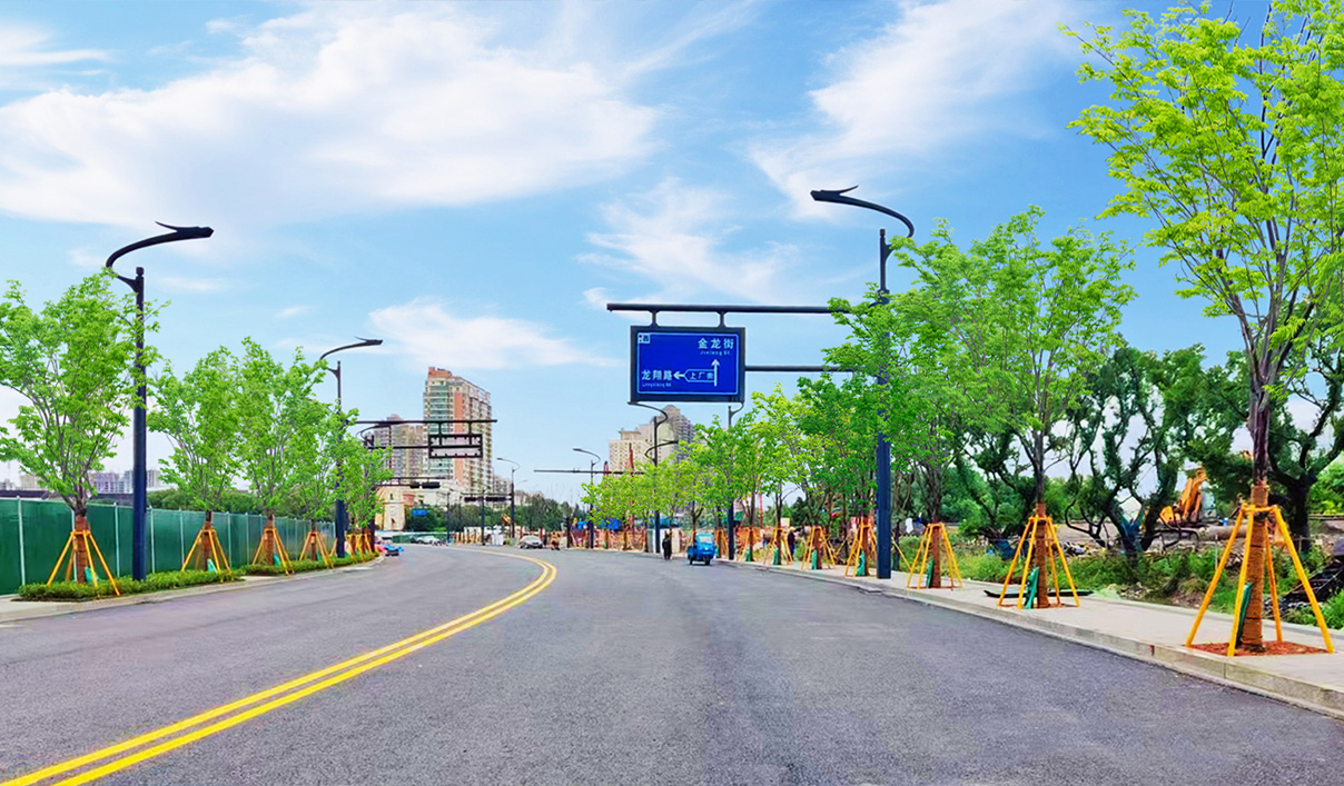 龍港市濱江核心區綜合開發項目江濱大道(金龍街-彩虹大道)道路工程